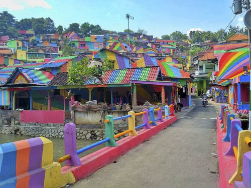 деревню раскрасили в разные цвета