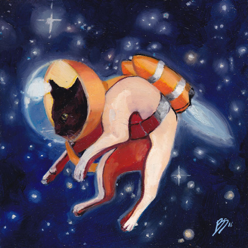 кошки в космосе