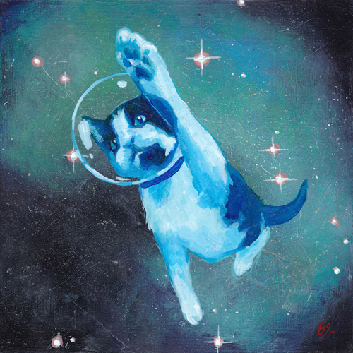 кошки в космосе
