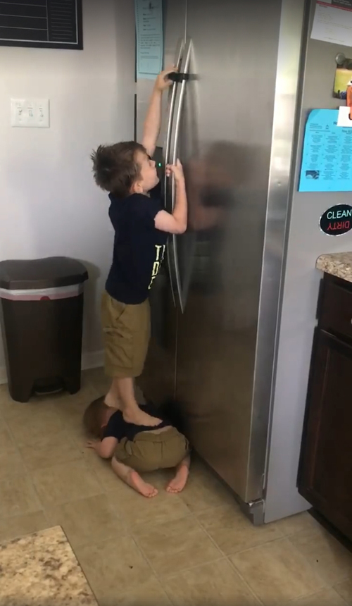 братья воруют еду из холодильника