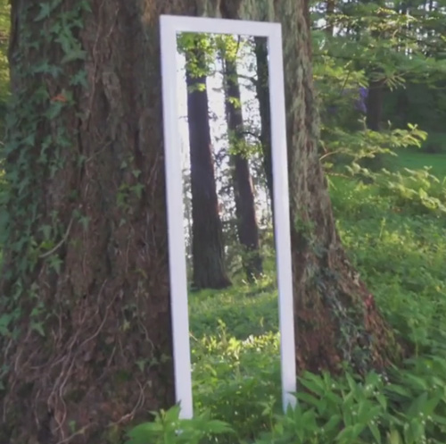 иллюзия с зеркалом в лесу