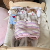 котята засыпают только вместе