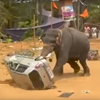 слон перевернул автомобиль