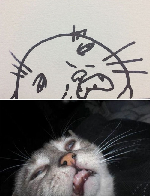 плохо нарисованные кошки