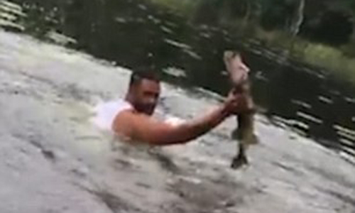 рыбак голыми руками поймал рыбу
