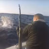 пойманная рыба ударила мужчину