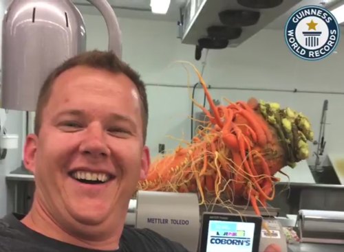самая большая в мире морковь
