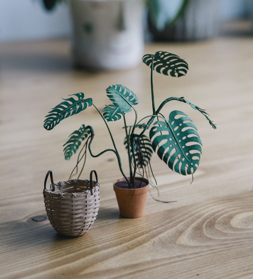 миниатюрные бумажные растения