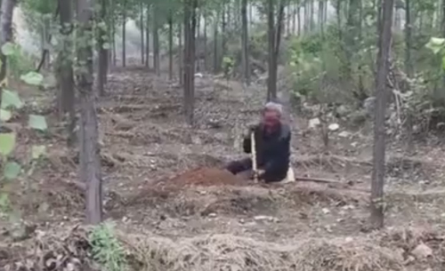 инвалид сажает деревья