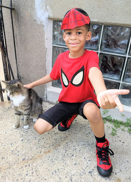 супергерой для приютских кошек