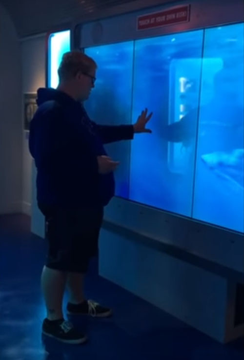акула напугала посетителя музея