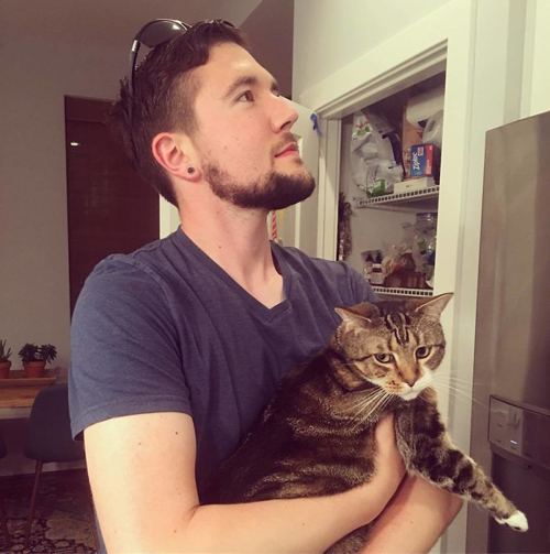 мужчина обнимается с кошками