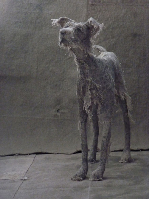 скульптуры собак из ткани
