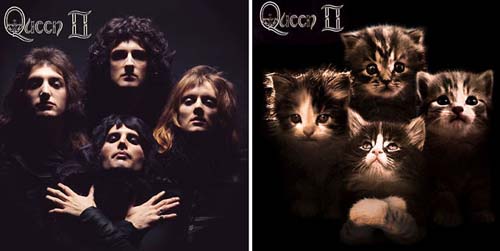 кошки на обложках альбомов