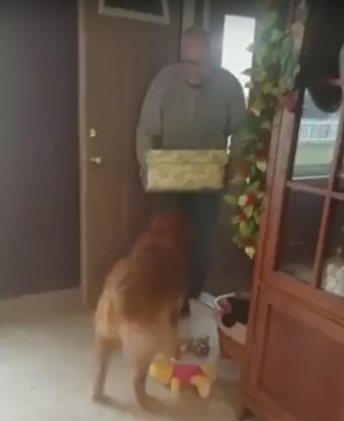 особенный подарок для пса