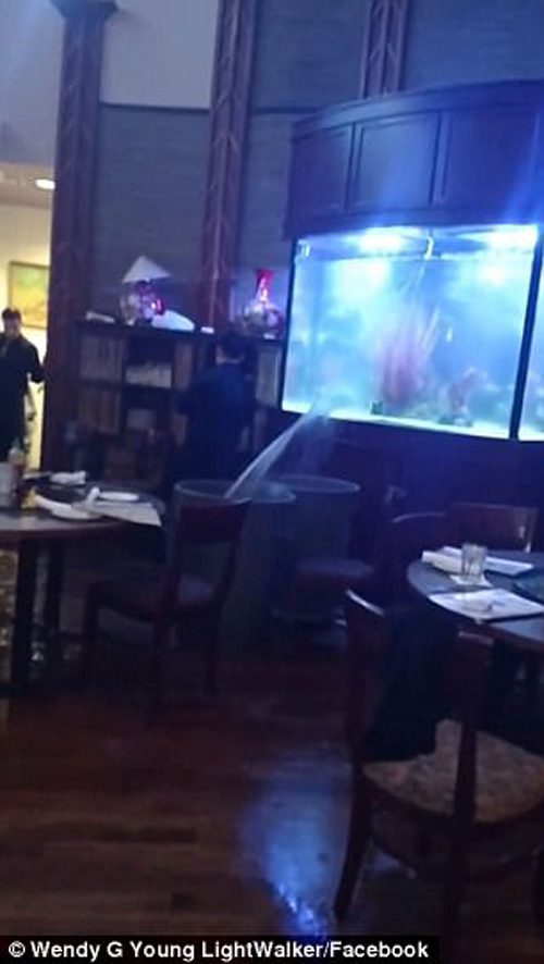 в ресторане лопнул аквариум
