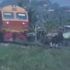 лошадь гоняется с поездом