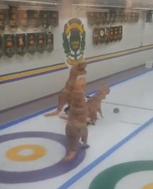 динозавры играют в кёрлинг