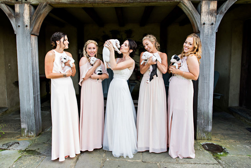 симпатичные щенки на свадьбе