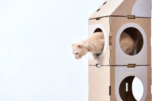 картонные города для кошек