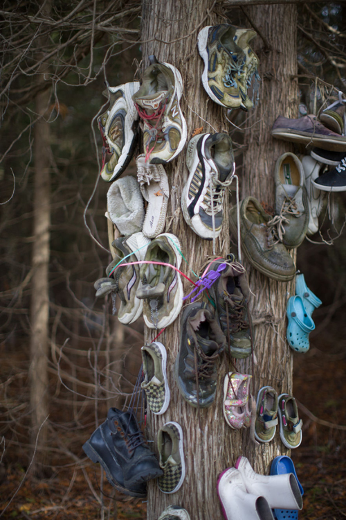таинственный лес с обувью