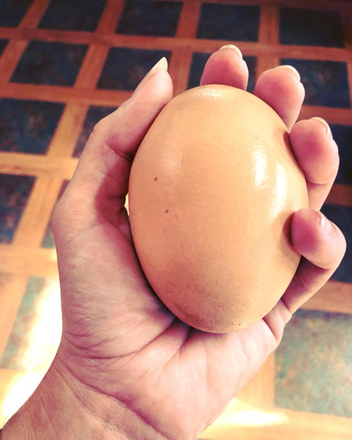 слишком крупное яйцо с сюрпризом