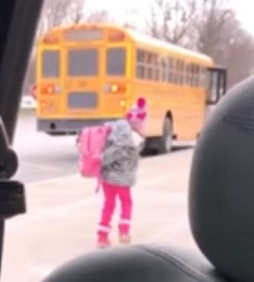 пёс провожает девочку в школу