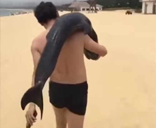 турист с дельфином на плече