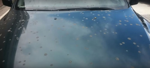 отвратительный душ в машине