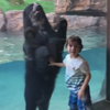медведь прыгает вместе с мальчиком