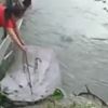 ловля рыбы с помощью зонтиков
