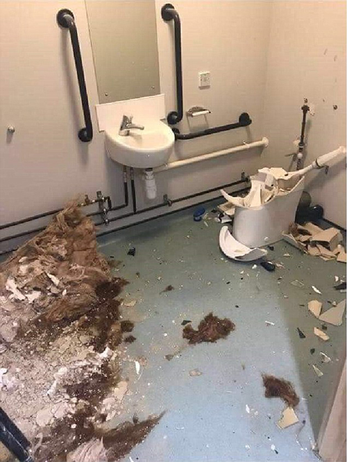 война со стеной туалета