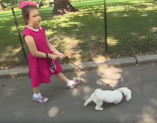 девочка на прогулке с собакой