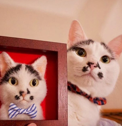 реалистичные портреты кошек