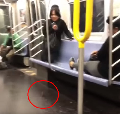 страшная мышка в метро