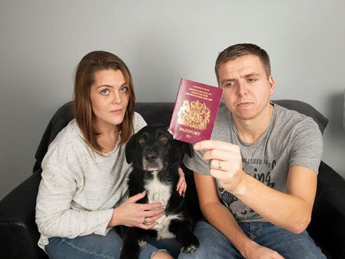 собака пожевала паспорт