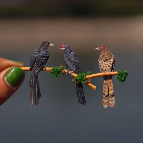 художники любят птиц