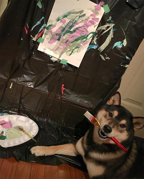 пёс рисует абстрактные картины