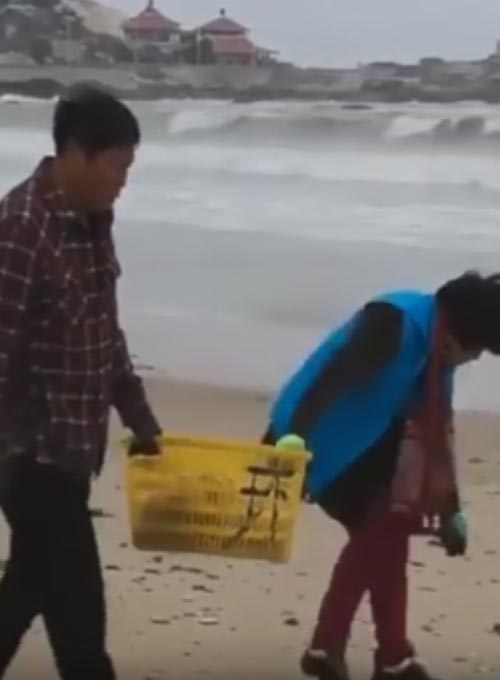 супруги чистят пляж от мусора