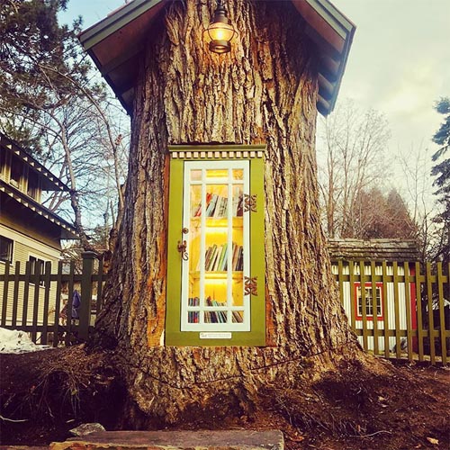 маленькая библиотека в дереве