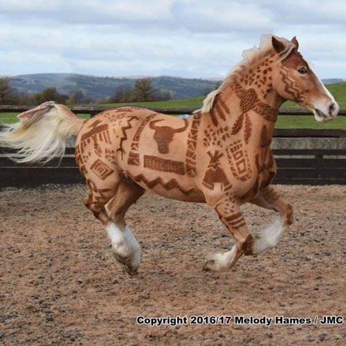 искусство стрижки лошадей