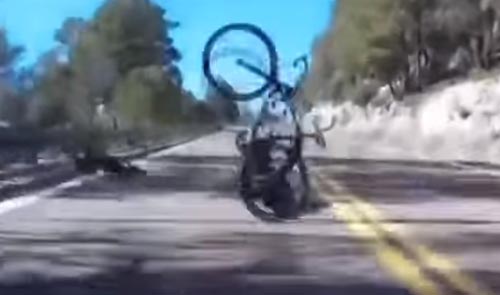 велосипедист столкнулся с оленем