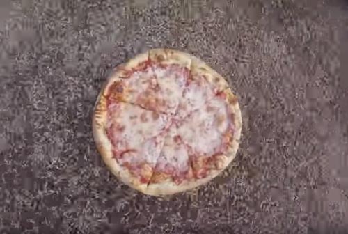 личинки уплетают пиццу