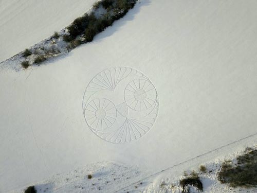 сову изобразили на снегу