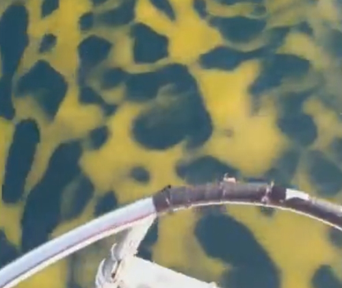 вода с леопардовым принтом