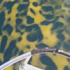 вода с леопардовым принтом