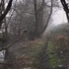призрак гулял вдоль реки