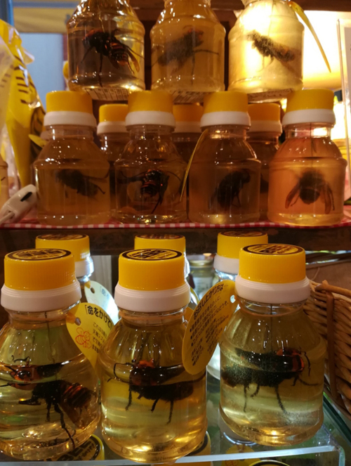 банка мёда с мёртвыми шершнями