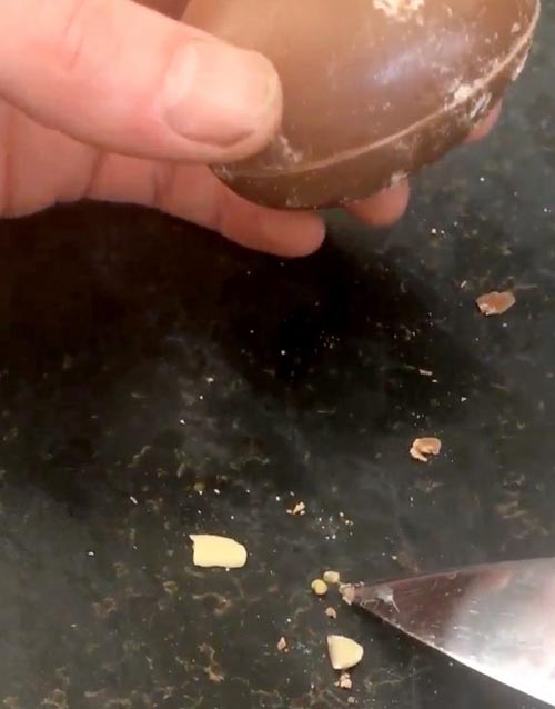шоколадное яйцо с личинками