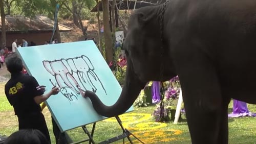 слониха любит живопись